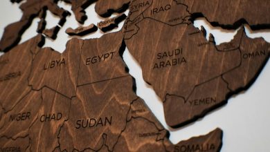 Detailed wooden jigsaw map featuring countries from North Africa and the Middle East.
